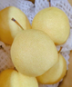 京鲜生 长城皇冠梨  净重4.5斤 单果200g+ 生鲜水果礼盒 实拍图