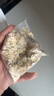 阴山优麦有机裸燕麦片630克 高蛋白 膳食纤维 免煮即食 零添加糖 营养早餐 实拍图