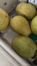 京觅福建红心白心脆果 双拼芭乐 番石榴  单果150g起 3斤装源头直发 实拍图