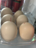 京鲜生柴鸡蛋30枚 3斤 无抗生素 谷物喂养鲜鸡蛋 源头直发 实拍图