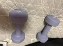 Keep 彩色浸塑哑铃 男女家用家庭健身肌肉塑形手臂轻重量紫灰色 3kg*2 实拍图