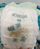 巴布豆（BOBDOG）新菠萝拉拉裤XL码36片（11.5-14kg）婴儿尿不湿 超薄透气 实拍图