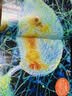 1-7月现货 万物杂志2026年/2025年订阅 8-15岁青少年科学科普 3D图解知识 中小学生课外科普百科通识知识 How it works 中文版期刊单月/半年/全年少儿阅读杂志铺非英文版 【现 实拍图