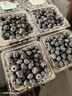 怡颗莓Driscoll's当季新鲜云南蓝莓14mm+ 4盒装 约125g/盒 京东超市水果 实拍图