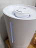米家小米智能除菌加湿器2加湿器卧室轻音杀菌孕妇婴儿智能恒湿上加水保湿礼品 4.5L大容量MJJSQ05DY 实拍图