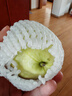 仙满缘奶油芭乐 白心软糯 广西玉林产地直发新鲜应季水果 5斤净重 5斤 实拍图
