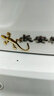 永燊 适用于加厚实心纯金属壁虎车贴3D立体个性汽车装饰用品庇护贴纸 加厚实心纯金属【金色2个】 实拍图
