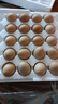 农家新鲜现捡土鸡蛋谷物饲养新鲜鸡蛋柴鸡蛋约40g/枚左右早餐买菜 20枚 实拍图