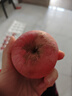 京鲜生 天水花牛苹果 净重4.5斤 单果 260g+ 生鲜水果源头直发 实拍图