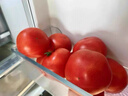 京鲜生 山东普罗旺斯番茄 净重4.5斤 单果125g+ 沙瓤西红柿 源头直发 实拍图