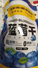 三只松鼠每日蓝莓干500g 蜜饯果干酸甜休闲零食下午茶孕妇儿童健康零食 实拍图