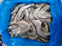 百年渔港海捕对虾超大盐冻只只分离白虾  30-40规格 净虾重4斤 60-80只 实拍图