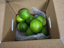 京鲜生 海南大青柠/青柠檬 8粒 单果70-100g  生鲜水果 实拍图
