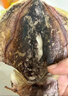 万景 北海淡干墨鱼干 净重250g/袋 3-6只 大号 煲汤海鲜干货 源头直发 实拍图
