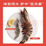京鲜港手臂长红爪大对虾 4只净重1.2斤 蒜蓉芝士烤 大虾礼盒 源头直发 实拍图