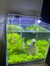 LED全光鱼缸灯同款水族箱鱼缸照明灯架水草灯增艳发色灯神灯节能 7瓦三档变光28cm（适合30-40cm鱼缸） 四排灯珠 实拍图