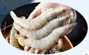 鲜京采 厄瓜多尔白虾 净重3斤/盒 特大号20-30规格   30-45只/盒 实拍图