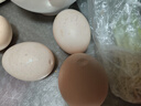 新鲜农家谷物鲜鸡蛋  现捡现发 破损包赔  营养早餐 30枚装（3斤） 实拍图