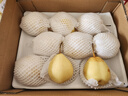 京鲜生 长城晋州鸭梨 地标产品 净重5斤 单果250g+ 生鲜水果礼盒 实拍图