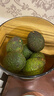 正宗进口秘鲁哈斯牛油果孕妇水果宝宝辅食进口鳄梨整箱批发价 8个装 单果重190-210克 实拍图