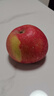 京鲜生 新疆阿克苏苹果 净重9斤装 果径85-90mm 新鲜水果 实拍图