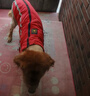 拉维佩特（LOVINGPET）狗狗衣服大型犬 保暖金毛狗衣服冬季柯基拉布拉多狗衣服中型犬 红色 2XL 建议20-25斤 实拍图