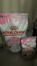 皇家幼猫奶糕 幼猫猫粮 BK34 通用粮 1-4月 2KG 实拍图
