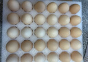 京鲜生【每日鲜蛋】无抗谷物鸡蛋30枚 3.18斤 当日产蛋 当日发货 实拍图