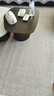 赛波斯大宅标配耐脏新西兰羊毛地毯客厅高级感轻奢中古风青山美宿2×3M 实拍图