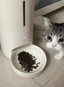 meoof觅凹蛋卷自动喂食器猫咪狗狗投食机定时定量带陶瓷碗wifi版 实拍图