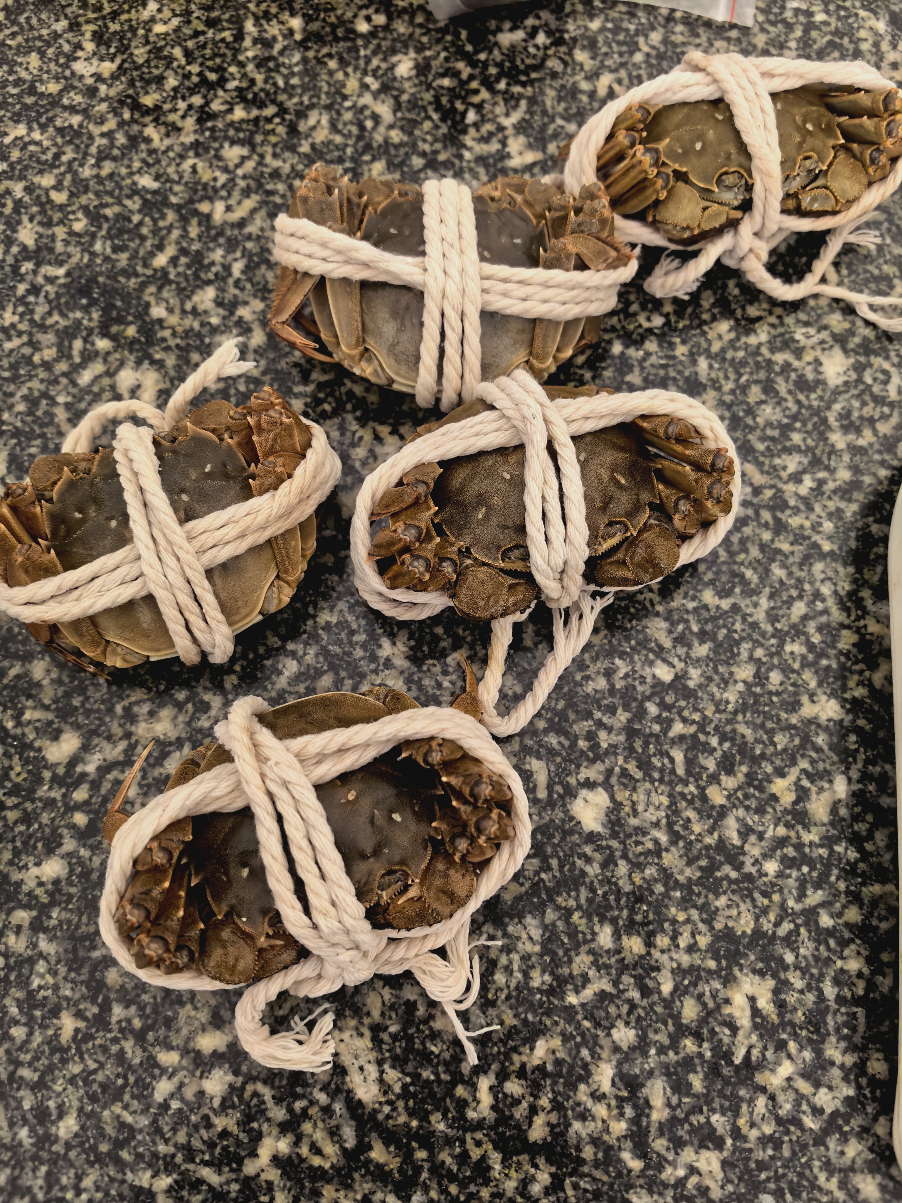 【活蟹】神行大闸蟹现货鲜活全母蟹 六月黄去绳足重螃蟹生鲜河蟹 全母蟹2.3-2.6两 6只装· 实拍图
