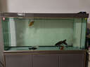 森森（SUNSUN）大型鱼缸底过滤水族箱客厅家用落地玻璃生态金鱼缸 【实时温显+灯控】纳米灰 1.5米长35cm宽 实拍图