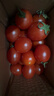 【超市品质】新鲜水果圣女果小番茄孕妇儿童即食零食生鲜水果 带箱 300g 红色圣女果 实拍图