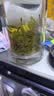 至鼎茶叶 特级安吉黄金芽茶叶 新茶嫩芽 高档礼盒200g礼品送长辈领导 实拍图