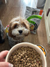 比瑞吉狗粮鸭肉梨升级瓜6冻干幼成老年小型犬小绿袋比熊去泪痕犬粮2kg 实拍图
