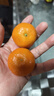 京鲜生 广西砂糖橘 净重8斤 单果45mm+ 水果年货礼盒 源头直发包邮 实拍图