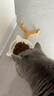 麦富迪 猫粮 barf霸弗生骨肉主食冻干双拼天然粮鲜肉营养无谷高肉高蛋白 牛肉配方|幼猫粮1.8kg 实拍图