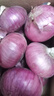 山东特产水果扁洋葱甜瓜口感红皮扁葱头生吃脆甜蘸酱好吃粉嫩 紫皮洋葱大果带箱 5斤 精选 实拍图