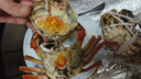 【活蟹】苏状元鲜活大闸蟹现货公4.5-4.8两母3.5-3.8两4对8只螃蟹大只海鲜礼盒源头直发 实拍图