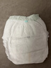 babycare金山茶花婴儿拉拉裤mini装XL码18片(12-17kg)尿不湿【新老混发】 实拍图
