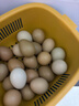 食特吉七彩山鸡蛋30枚 散养土鸡蛋  杂粮蛋礼盒 净含量1.68斤 源头直发 实拍图