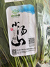 小汤山 菠菜 280g 基地直供新鲜蔬菜GAP认证 实拍图