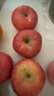 京鲜生 烟台红富士苹果 净重10斤  单果160g以上 水果礼盒 实拍图