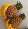京鲜生 海南金钻凤梨 净重4.5斤单果650g起树上熟新鲜水果源头直发包邮 实拍图