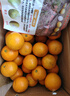 果果牛湖南麻阳冰糖橙 应当季新鲜水果手剥甜橙子高山夏脐血多汁 可选 净重9斤(单果60-65mm)推荐 实拍图