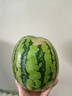京鲜生 无籽麒麟西瓜 1粒装 单果5-7斤 生鲜水果 实拍图