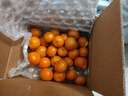 京鲜生 砂糖橘/砂糖桔 净重2斤 生鲜年货水果  实拍图