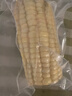 北纬47度 白甜糯玉米2.76斤(230g*6根) 东北粘黏鲜玉米棒真空包装  实拍图