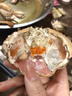 【活蟹】掌昕鲜三门青蟹 全母蟹（6-7两/只）3只 海鲜活螃蟹过年春节送礼品盒源头直发 实拍图