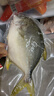 翔泰 海南金鲳鱼净重900g 2条装  年货节鱼类生鲜 火锅食材 海鲜水产  实拍图